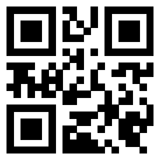 Il Qr Code di 3919453635