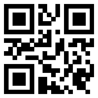 Il Qr Code di 3919453743