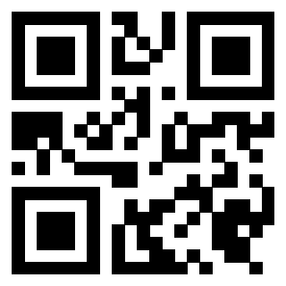 Il Qr Code di 3919453794