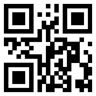 Il Qr Code di 3919453817