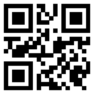 3919453819 Qr Code associato