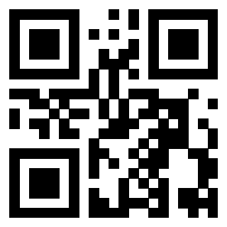 Il Qr Code di 3919453821