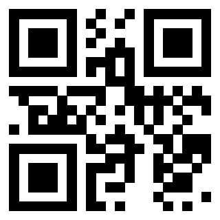 Il Qr Code di 3919453832