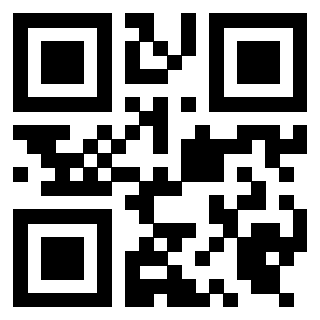 Il Qr Code di 3919453846