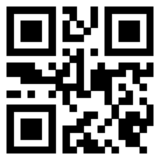 Il Qr Code di 3919453852