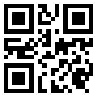 Il Qr Code di 3919453868