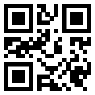 Il Qr Code di 3919453930