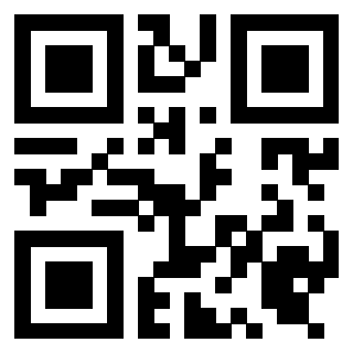 Il Qr Code di 3919453959