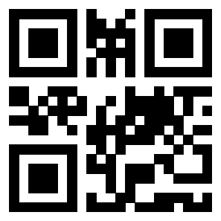 Il Qr Code di 3919453970