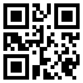 Il Qr Code di 3919453992
