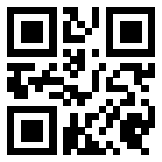 Il Qr Code di 3919454061