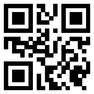 Il Qr Code di 3919454071