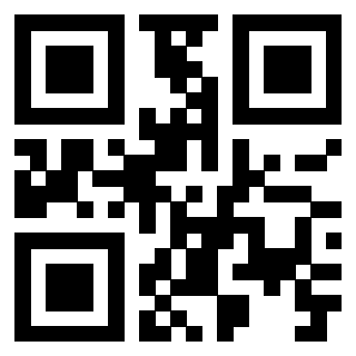 Il Qr Code di 3919497071