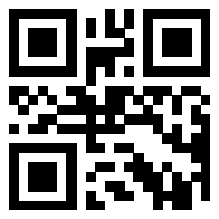Il Qr Code di 3919497090
