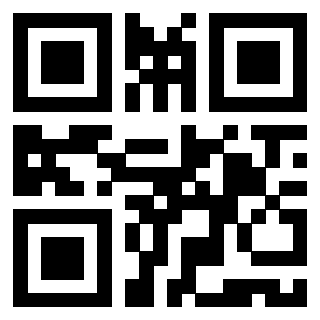 Il Qr Code di 3919497095