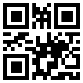 Il Qr Code di 3919497117
