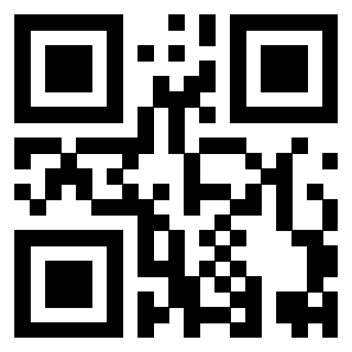 Il Qr Code di 3919497130