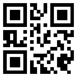 Il Qr Code di 3919497131