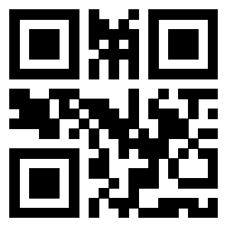 Il Qr Code di 3919497147