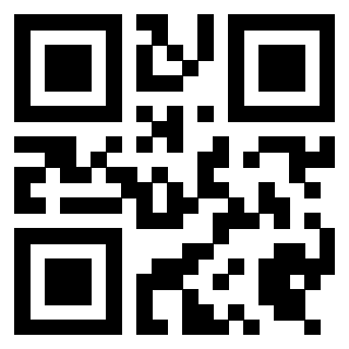 Il Qr Code di 3919497148
