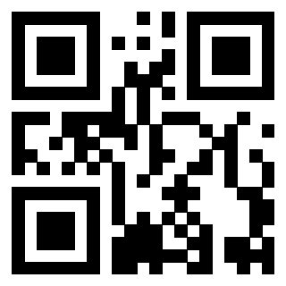 Il Qr Code di 3919497152