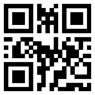 Il Qr Code di 3919497169