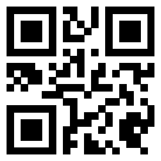 Il Qr Code di 3919497171