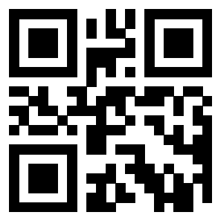 Il Qr Code di 3919497212