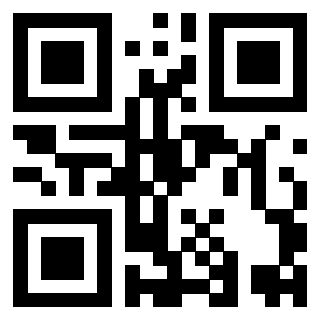 Il Qr Code di 3919497218