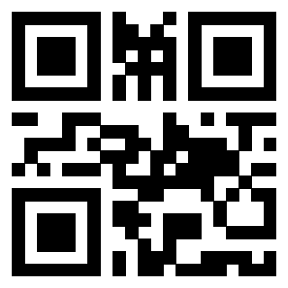 Il Qr Code di 3919497220