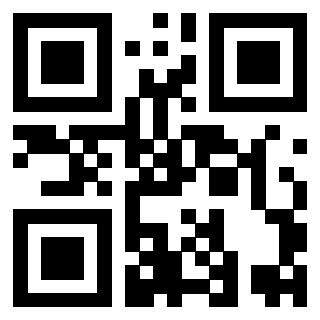 QrCode di 3919497249