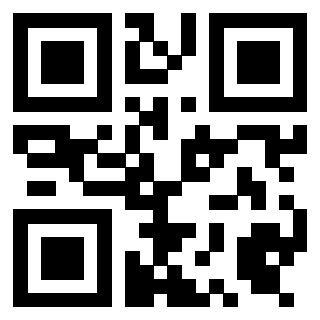 Il Qr Code di 3919497263