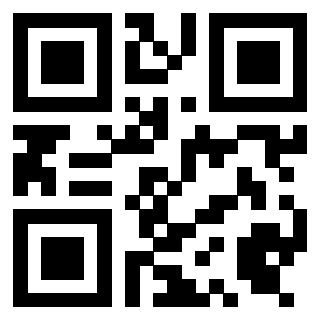 Il Qr Code di 3919497284
