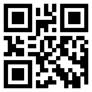 Il Qr Code di 3919497288