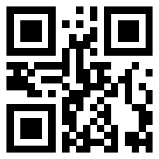 Il Qr Code di 3919497311