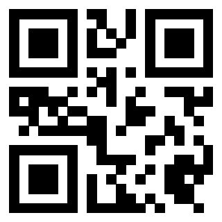 Immagine del Qr Code di 3919497316