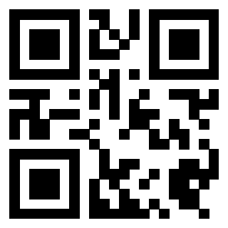 Il Qr Code di 3919497322