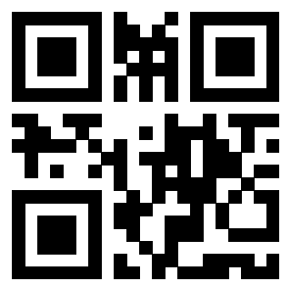 QrCode di 3919497347