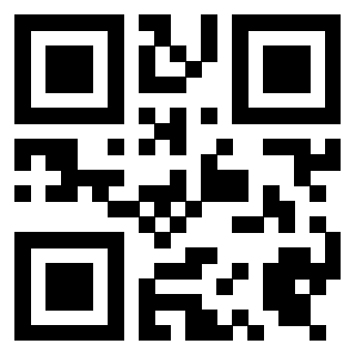 Il Qr Code di 3919497352
