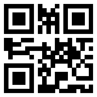 Il Qr Code di 3919497360
