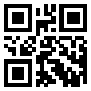 Il Qr Code di 3919497373