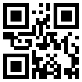 QrCode di 3919497378