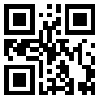 Il Qr Code di 3919497383