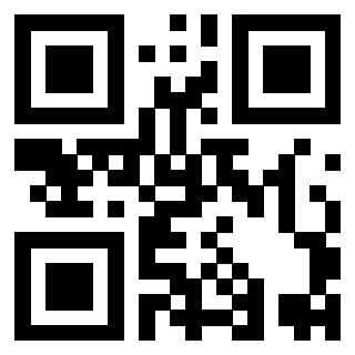 Il Qr Code di 3919497384