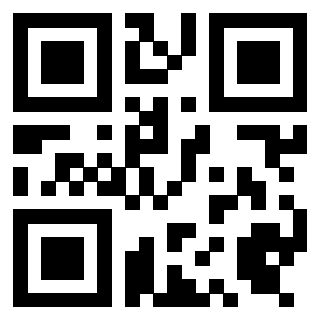 Il Qr Code di 3919497426