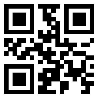 Il Qr Code di 3919497439