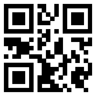 Il Qr Code di 3919497455