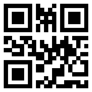Il Qr Code di 3919497479