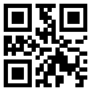 Il Qr Code di 3919497514