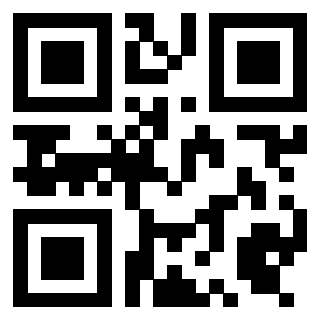 Il Qr Code di 3919497515